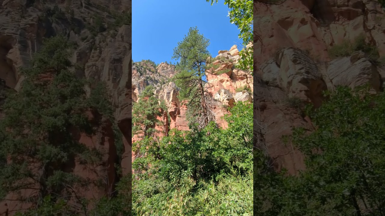 Looks like a frog on a rock. Somewhere in 