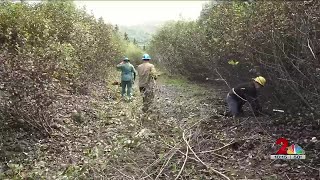 In effort to tidy Anchorage trails, Alaska Trails seeks volunteers for last events of season