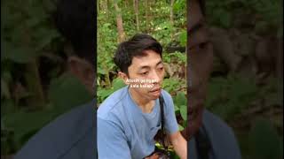 aku ga ngerti sebenar nya gimna? #jalanyangjauh #petualangjalanan #jalanyangjauhjanganlupapulang