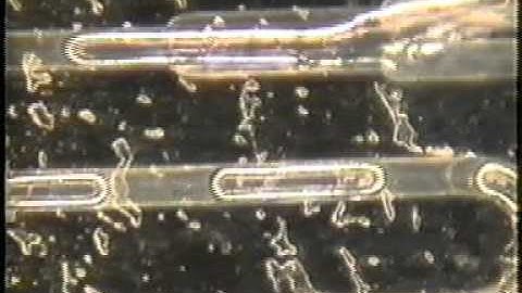 Nanotechnology Microfluidics