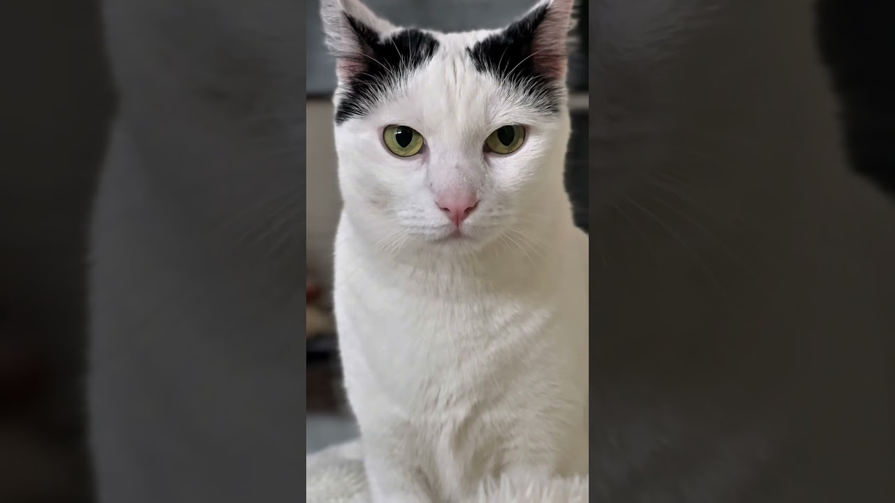 Dobro jutro sa Sabkom 