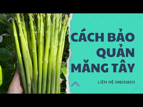 Video: Làm thế nào để giảm nếp nhăn với Retin A: 13 bước (có hình ảnh)