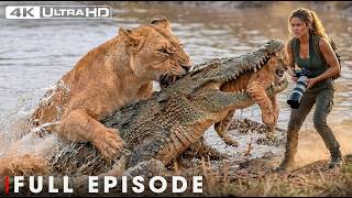 Win or Die (NEW EPISODE) | World's Deadliest | Nature Animal Documentary
