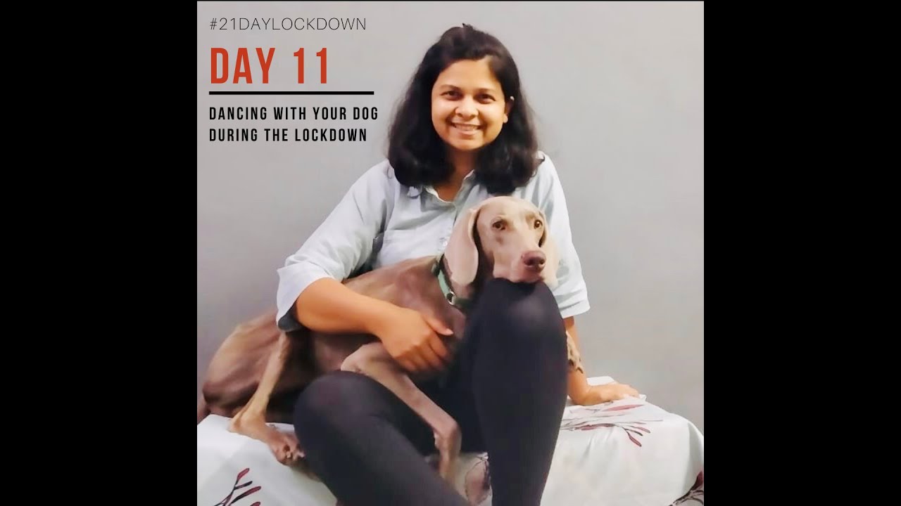 dancing with your dog