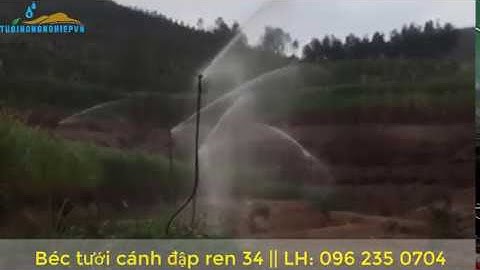 Súng tưới cánh đập ren 34mm || Tưới Phun mưa || Tưới Nông Nghiệp