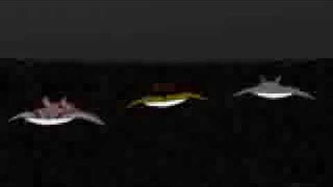 Computer Graphics Major Project 2005