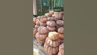 Boyeongsa Hiking in Autumn 2025