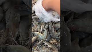 Wow ang laki // fresh shrimp ? #viral #food #asmr #ytshorts #shorts #amazing  #brunei #shrimp