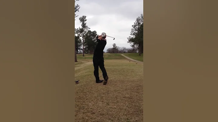 Dennis Andersen golf swing