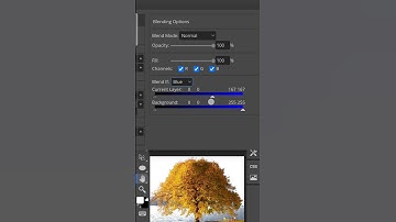 Remove ANY Background in Seconds!  #PhotoshopTrick #photopea #shorts #photoshoptutorial