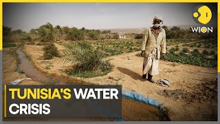 What is the future of Tunisia? | WION Climate Tracker