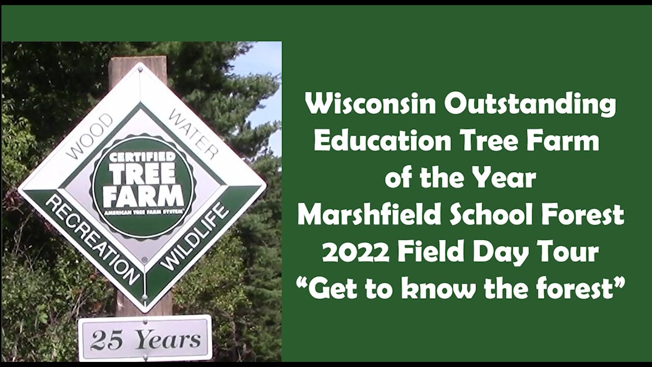 An Introduction to the Marshfield School Forest YouTube