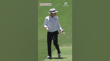 Virat Kohli and Tim Paine