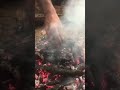 Cashew nut roast in forest #survival #cashew nuts #wildness