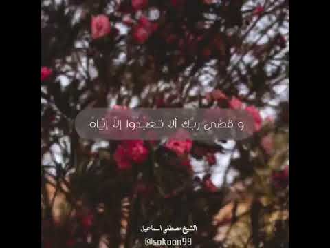 الشيخ مصطفى اسماعيل مقام نهاوند قرآن كريم مقاطع قرآنية قصيرة مقاطع واتساب دينية