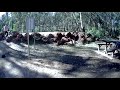 Stacey awseome pump track drone footage