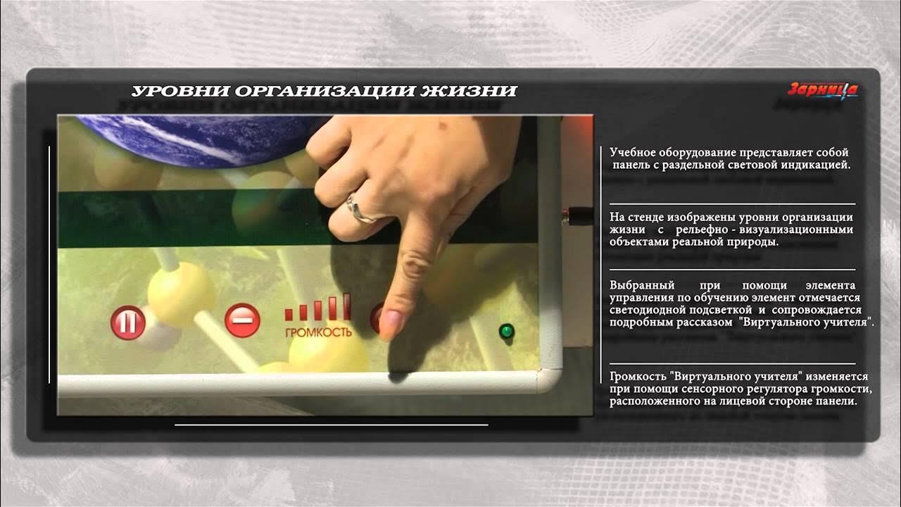 Уровни стендов. 50 левел в стандофф 2. Стенд для уровней. Уровни жизнедеятельности живого организма. Уровни стендов.