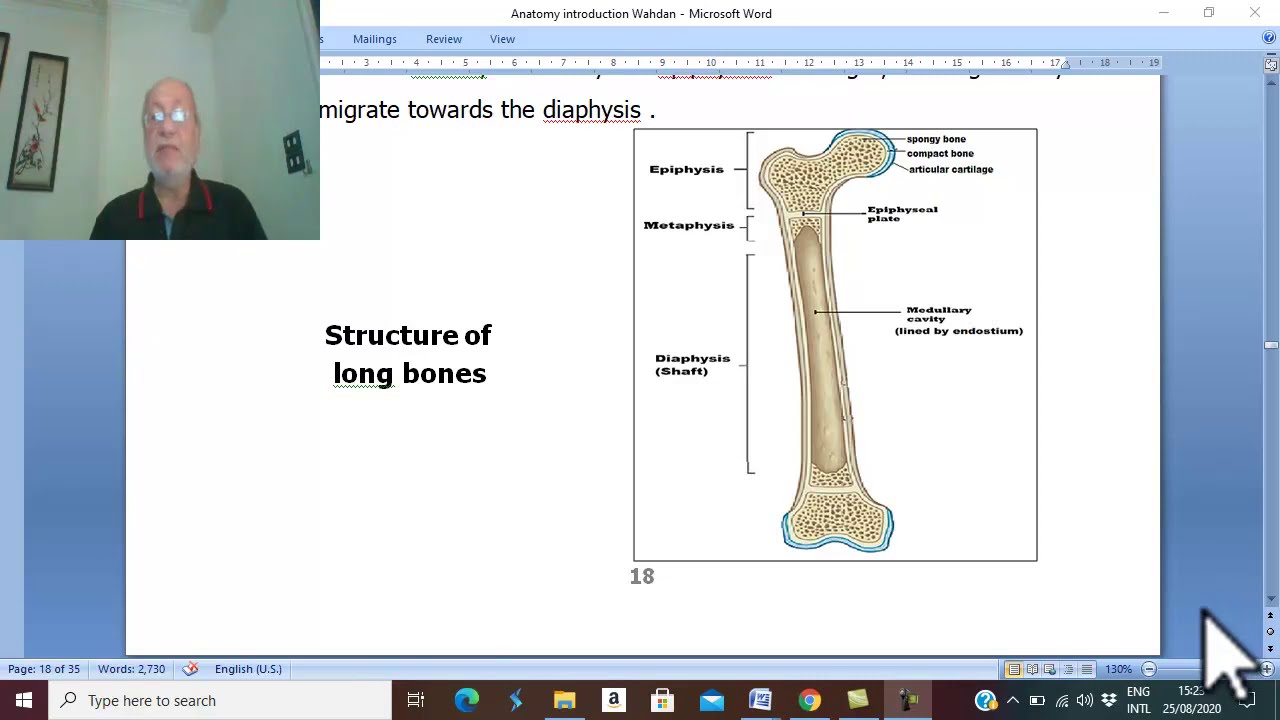 Introduction to anatomy 6 (Bones, part 3 ) , by Dr. Wahdan .