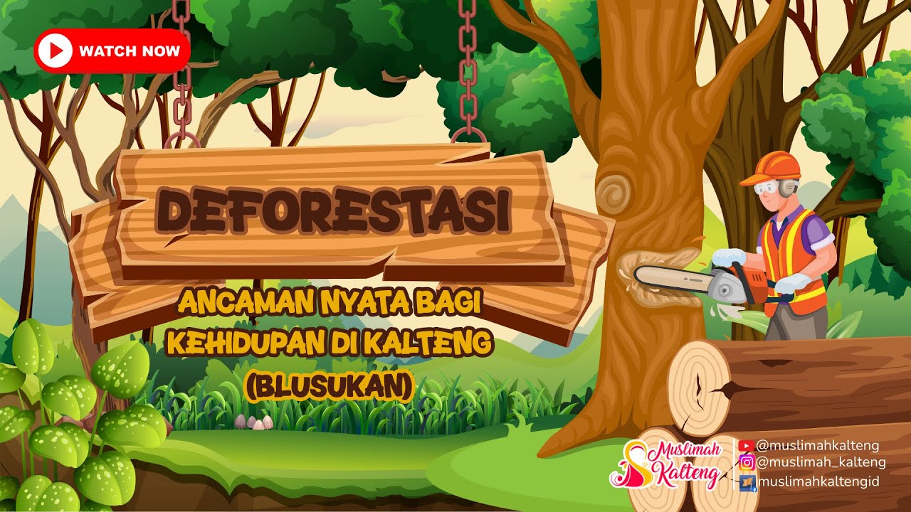 KALIMANTAN TENGAH Deforestasi  Ancaman Nyata bagi Kehidupan di Kalteng | Blusukan