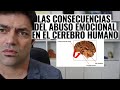 Las Consecuencias Del Abuso Emocional En El Cerebro Humano; Hiperactividad e Hipoactividad