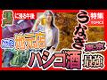 【亀戸ハシゴ酒】地元密着「こだわり」店主 / 伝統受け継ぐ「亀戸天神うなぎ」【亀戸 巷飲み】