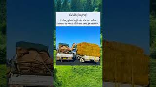 Sadece Allah'a güven#keşfet #öneçıkanlar #ösym #sınav #sondakika #tasarım #bilim #icat #buluş