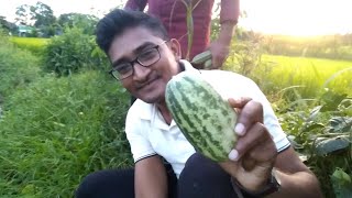 Warku Tast Of 1St Time