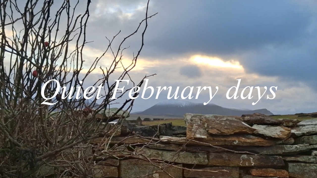 Simple Island days | My Orkney Island life
