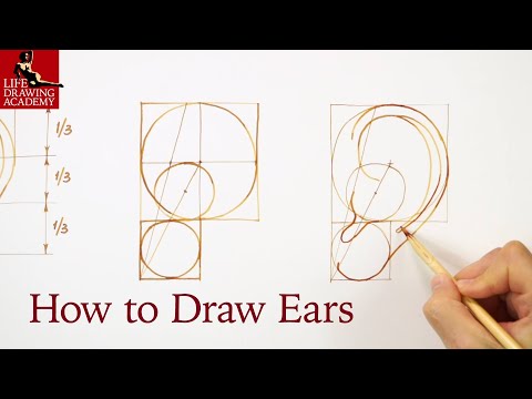 How to Draw Ears