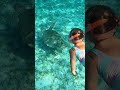 Плавать с черепахами в отеле Дрим Лагун/DREAM LAGOON MARSA ALAM 5*. Курорт Марса Алам. Египет.