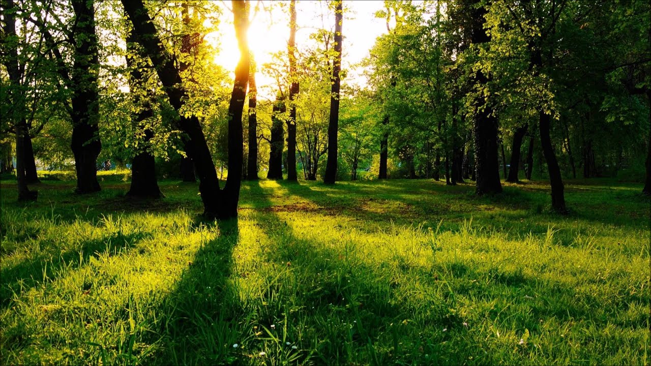 Watch Vintage & Morelli - Desire (Original Mix) on YouTube Watch Vintage & Morelli - Desire (Original Mix) on YouTube