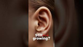 Your Ears Never Stop Growing