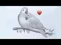 Two parrots in love by pencil sketch