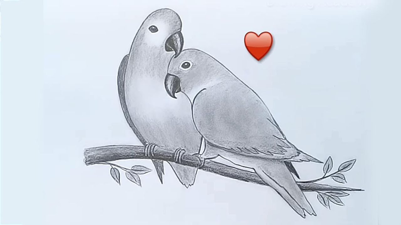 two birds in love drawing