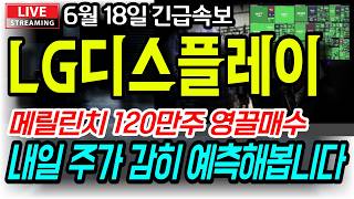 [LG디스플레이 주가전망] *시외 속보* 와..메릴린치 120만주 영끌한거 보셨나요? 내일 주가 감히 예측해봅니다.