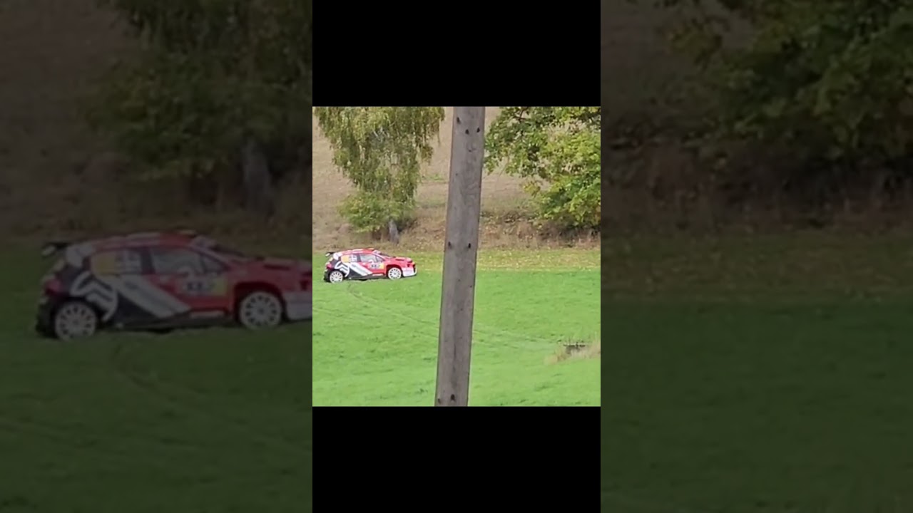 Diego Ruiloba Crash Central European Rally 2025