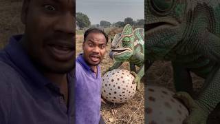 कौनसा प्रजाति का गिरगिट मिला#Shorts nature video#Animal lover's shorts video 🦖🦖