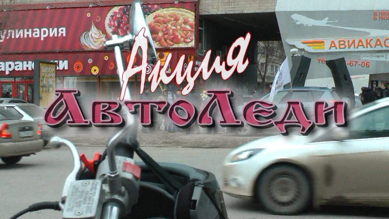 Караоке ауди жуки