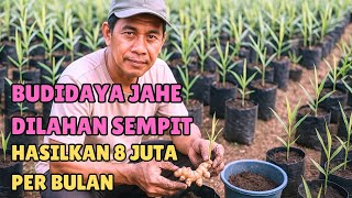 Download Lagu BUDIDAYA JAHE DILAHAN SEMPIT, HASILKAN 8 JUTA PER BULAN MP3 Download Lagu BUDIDAYA JAHE DILAHAN SEMPIT, HASILKAN 8 JUTA PER BULAN MP3