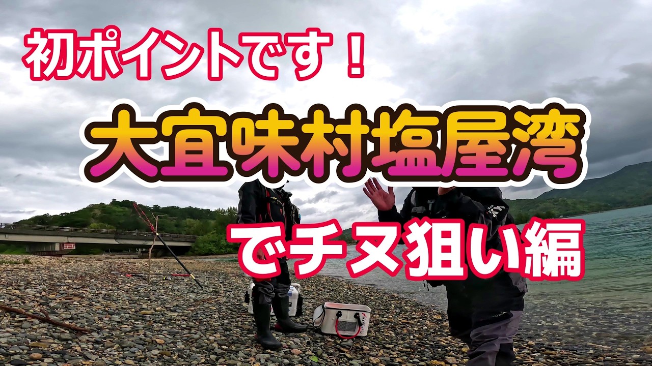 真冬の大宜味村塩屋湾でチヌ狙い編【沖縄釣り】