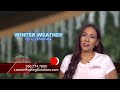 Laredo Roofing Pest Damage