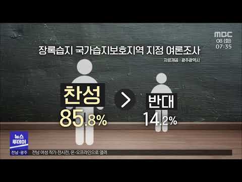 광주 장록습지, 국가습지보호지역 지정 [목포MBC 뉴스투데이]