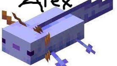 how to morph into any mob in minecraft 1.13 to 1.17