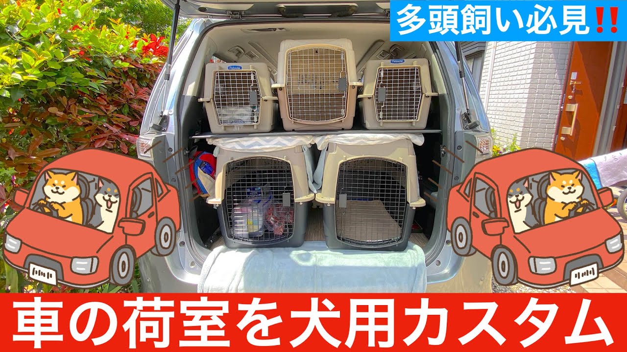 車の荷室に犬を乗せる時の一工夫カスタム Youtube 車の荷室に犬を乗せる時の一工夫カスタム Youtube