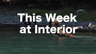 This Week at Interior October 16, 2020