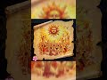 Jai Suryadev🌸🙏🥰🌟💖#durgapuja#navratri#trending#maa#maakali#viralvideo#friday#song#music#festival#god