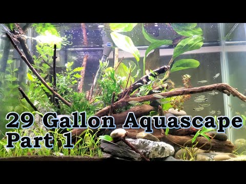 How to Plan and Get Materials for your Planted Aquarium