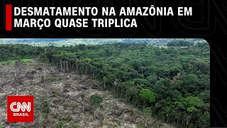 Desmatamento na Amazônia em março quase triplica, aponta Imazon | LIVE CNN