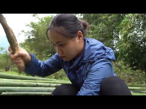 1000 Days Farm Life, Gardening: Building Duck House, Dog House, Enjoy Life Alone. Bushcraft Quynh's