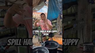 SPILL HARGA IKAN GUPPY 2026